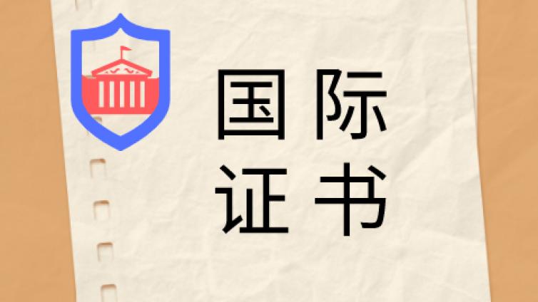 美国索菲亚大学